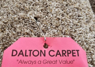 Dalton Carpet sample.